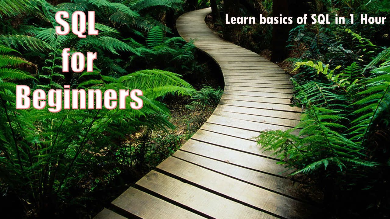 SQL for Beginners. Learn basics  of SQL in 1 Hour
