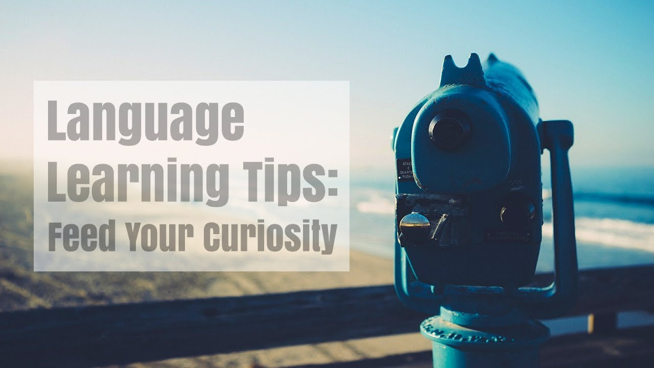 Language Learning Tips: Feed Your Curiosity