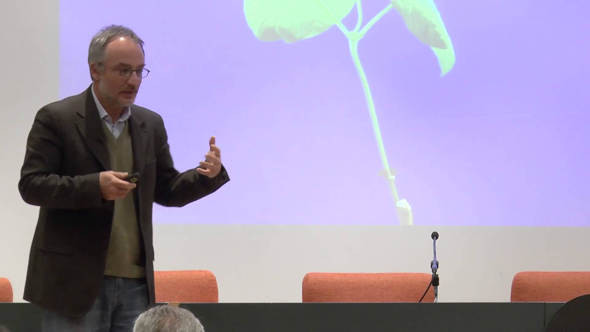 Are plants conscious? | Stefano Mancuso | TEDxGranVíaSalon