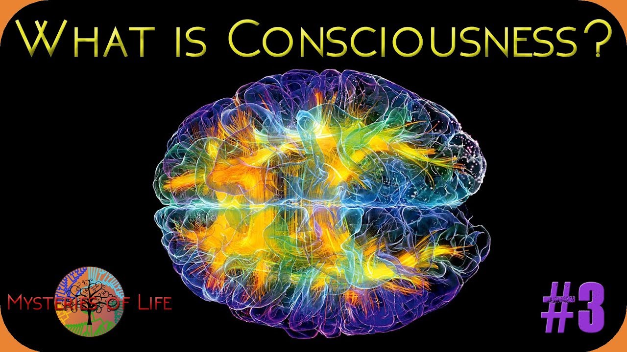 What is Consciousness? – Mysteries of Life #3