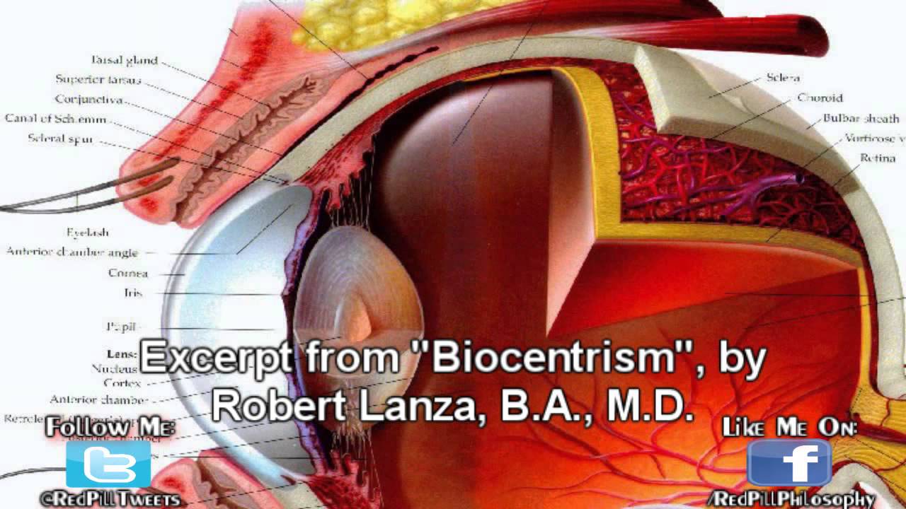 Some Scientific Proof Consciousness Creates Reality – Biocentrism (ft. Robert Lanza, M.D.)