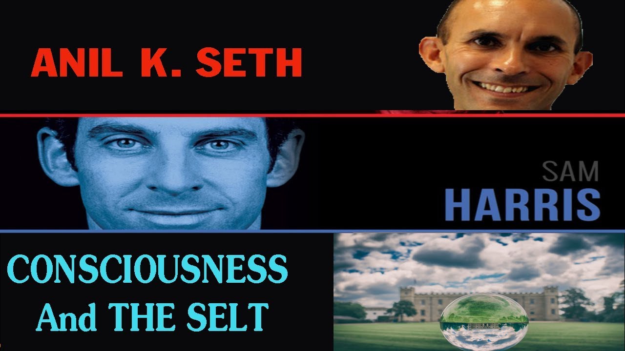 Waking Up with Sam Harris #113 — Consciousness and the Self with Anil K. Seth