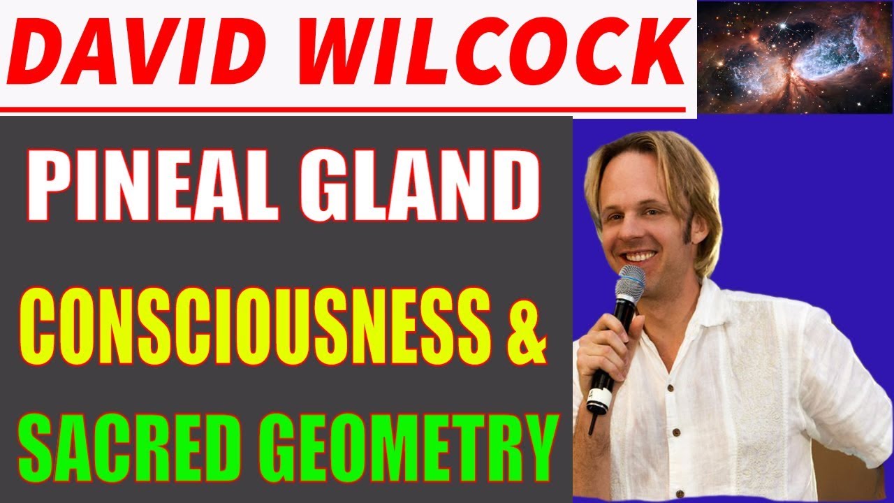 David Wilcock ★ [DOCUMENTARY] Pineal Gland Consciousness & Sacred Geometry (NEW DISCLOSURE 2018)