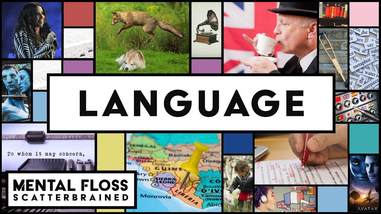 Everything You Need to Know About English and Other Languages! – Mental Floss Scatterbrained