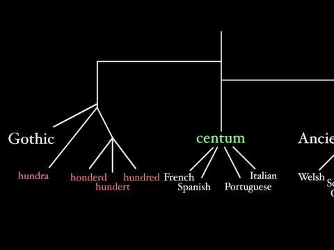Latin and Its Indo-European Language Family