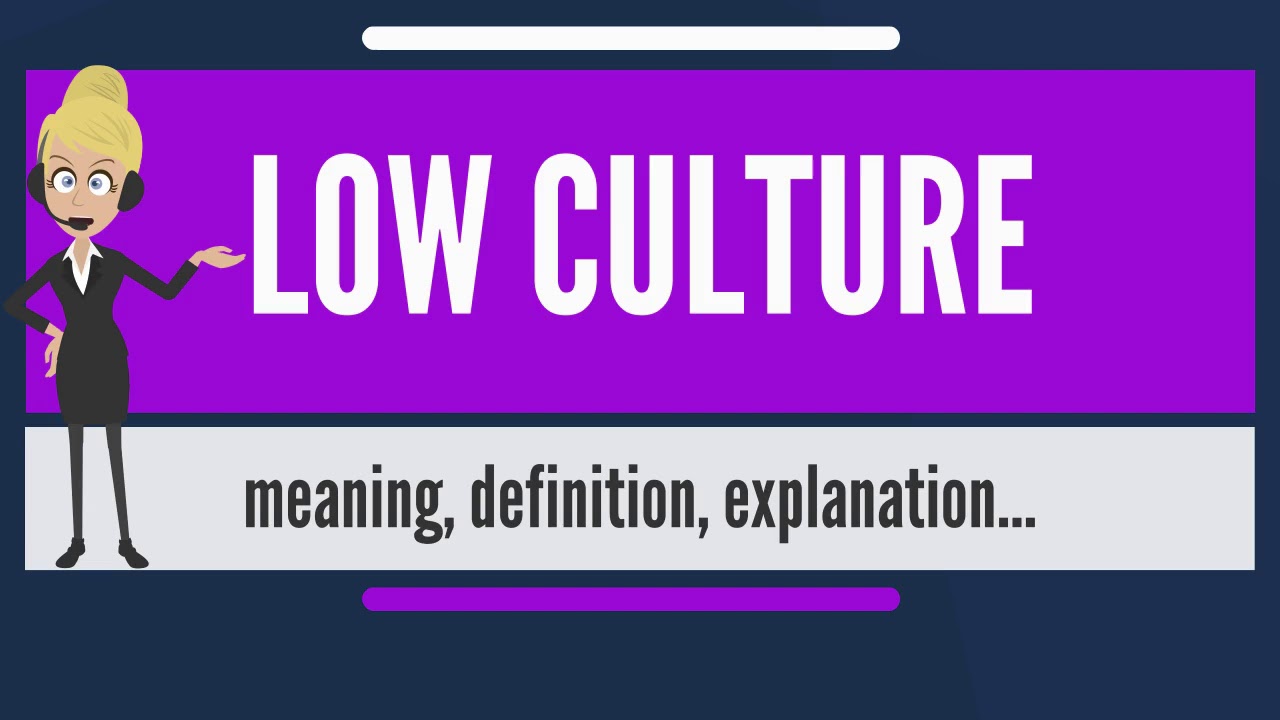 What is LOW CULTURE? What does LOW CULTURE mean? LOW CULTURE meaning, definition & explanation