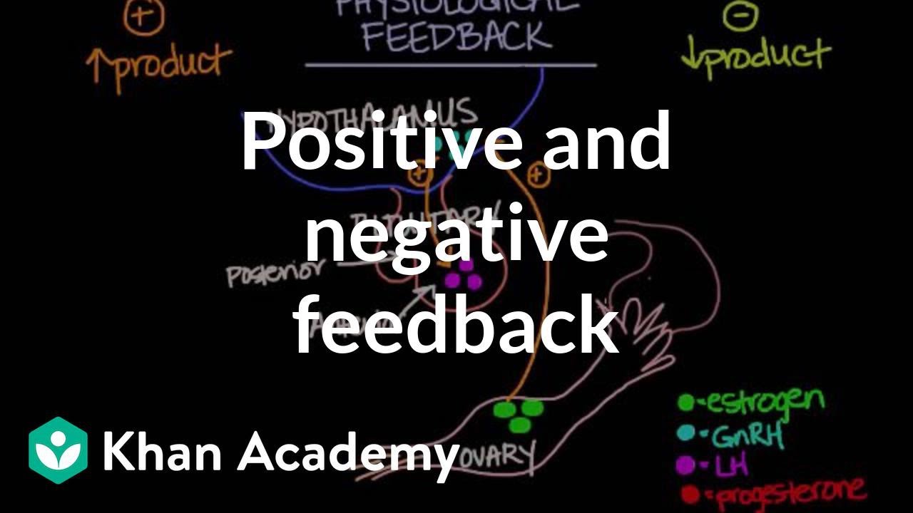 Physiological concept of positive and negative feedback | Behavior | MCAT | Khan Academy