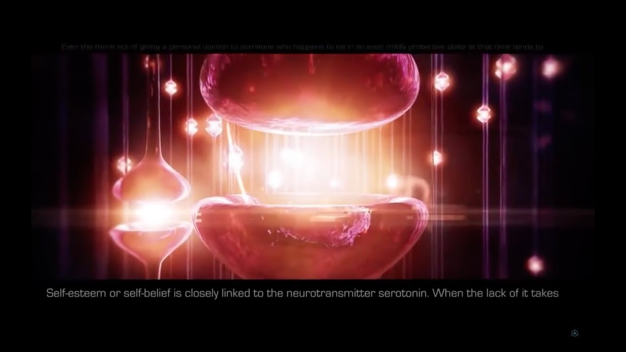 Quantum  Physics and The Consciousness of the Human Brain.