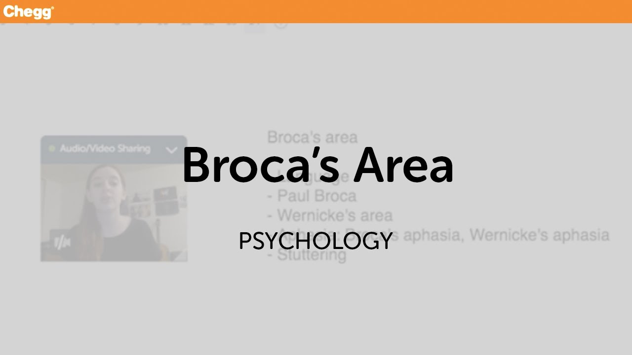 Broca’s Area | Psychology | Chegg Tutors