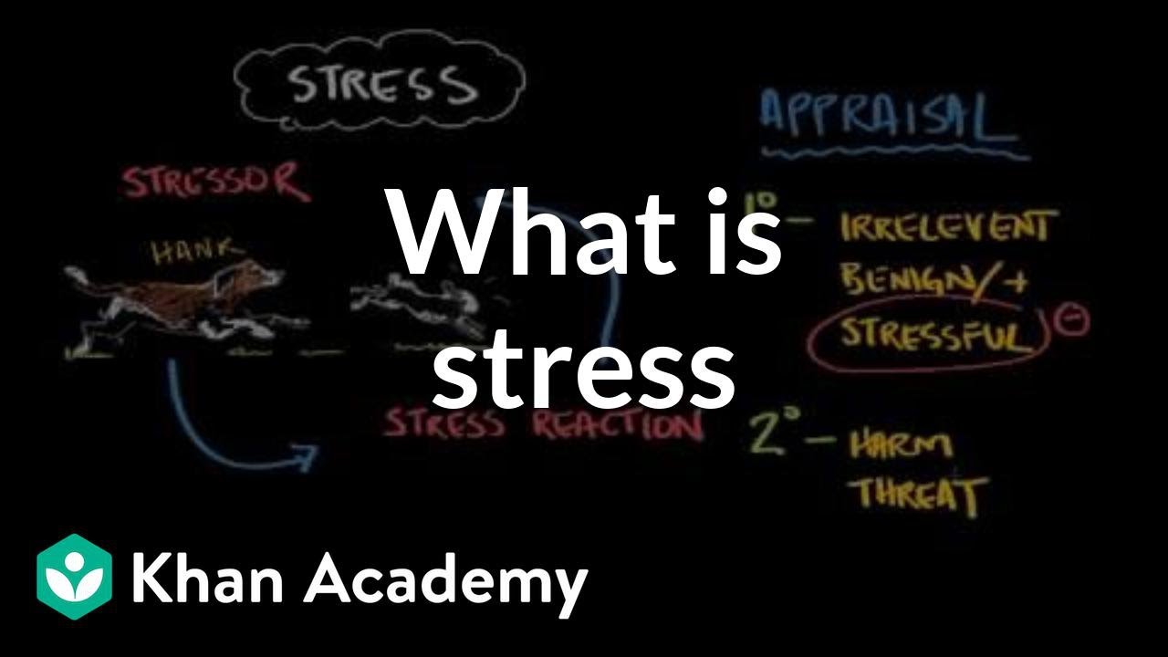 What is stress? | Processing the Environment | MCAT | Khan Academy