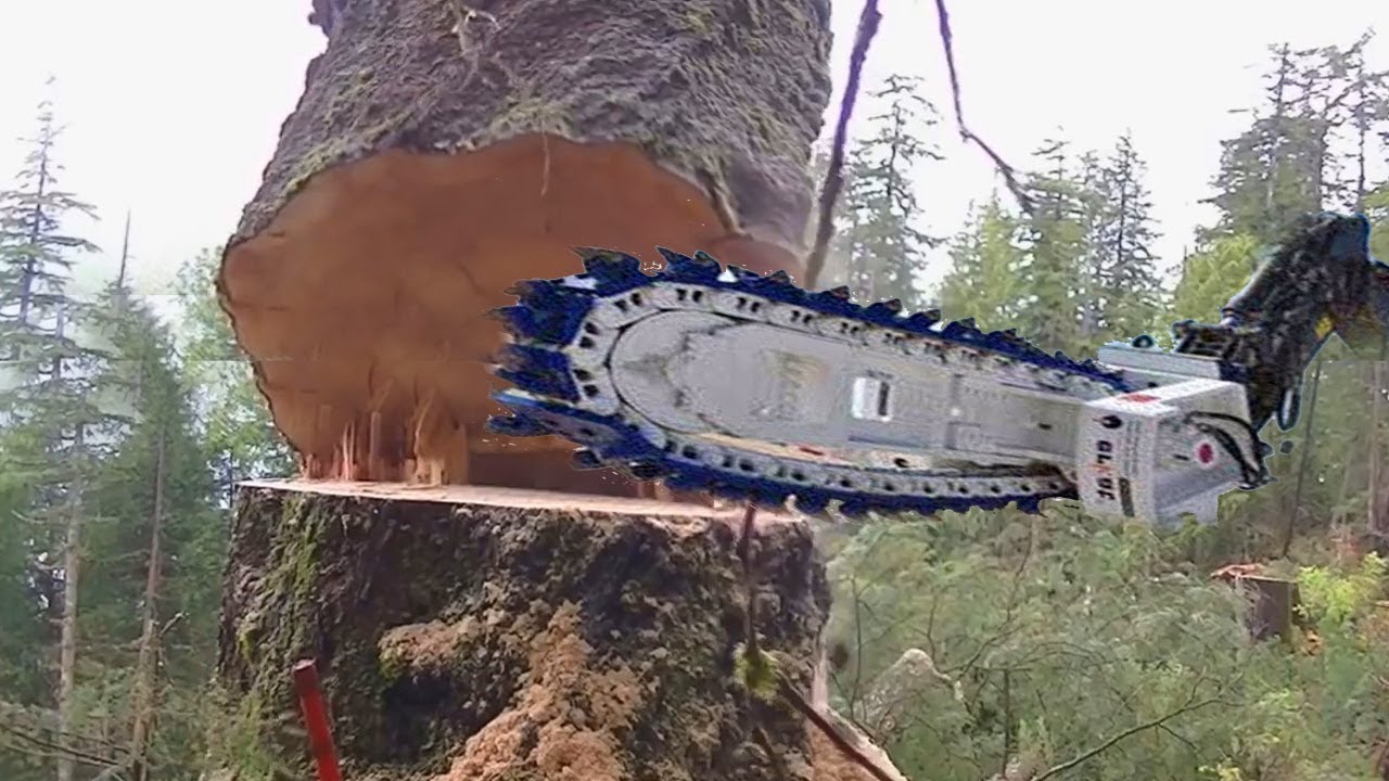 Intelligent Technology Unusual Woodwork Turbo ChainSaw Log Splitter CNC Sawmill Mega Machines Saw