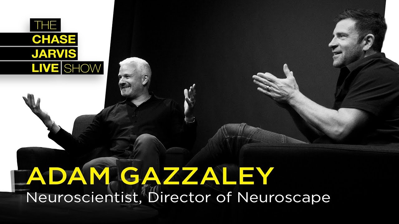 Tame Your Distracted Mind with Neuroscientist Adam Gazzaley
