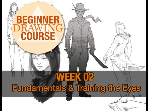 Beginner Drawing Course: Week 02 – Fundamentals and Training The Eyes