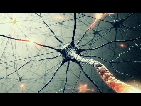 The Theory Of Everything – Quantum Physics And Consciousness (Documentary)