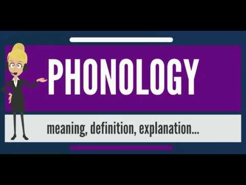 What is PHONOLOGY? What does PHONOLOGY mean? PHONOLOGY meaning, definition & explanation