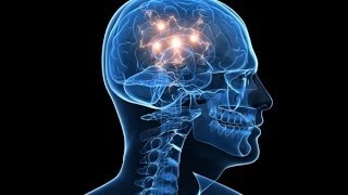 What Is Reality? The Human Brain – Fascinating Brain Documentary (Consciousness & Universe