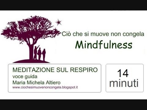 Mindfulness. Meditazione sul respiro. Poco più di 10 minuti (per principianti)