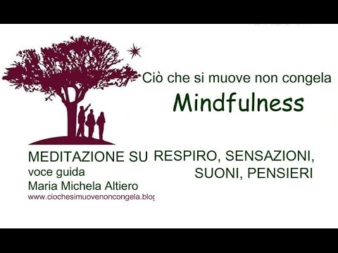 Mindfulness. Meditazione su respiro, sensazioni, suoni, pensieri in 3 fasi
