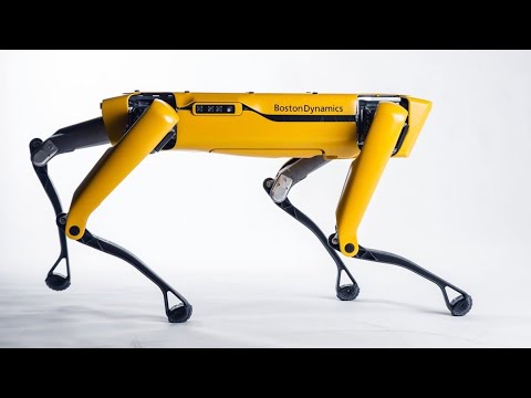 5 MOST Intelligent ROBOT DOGS Ever Created