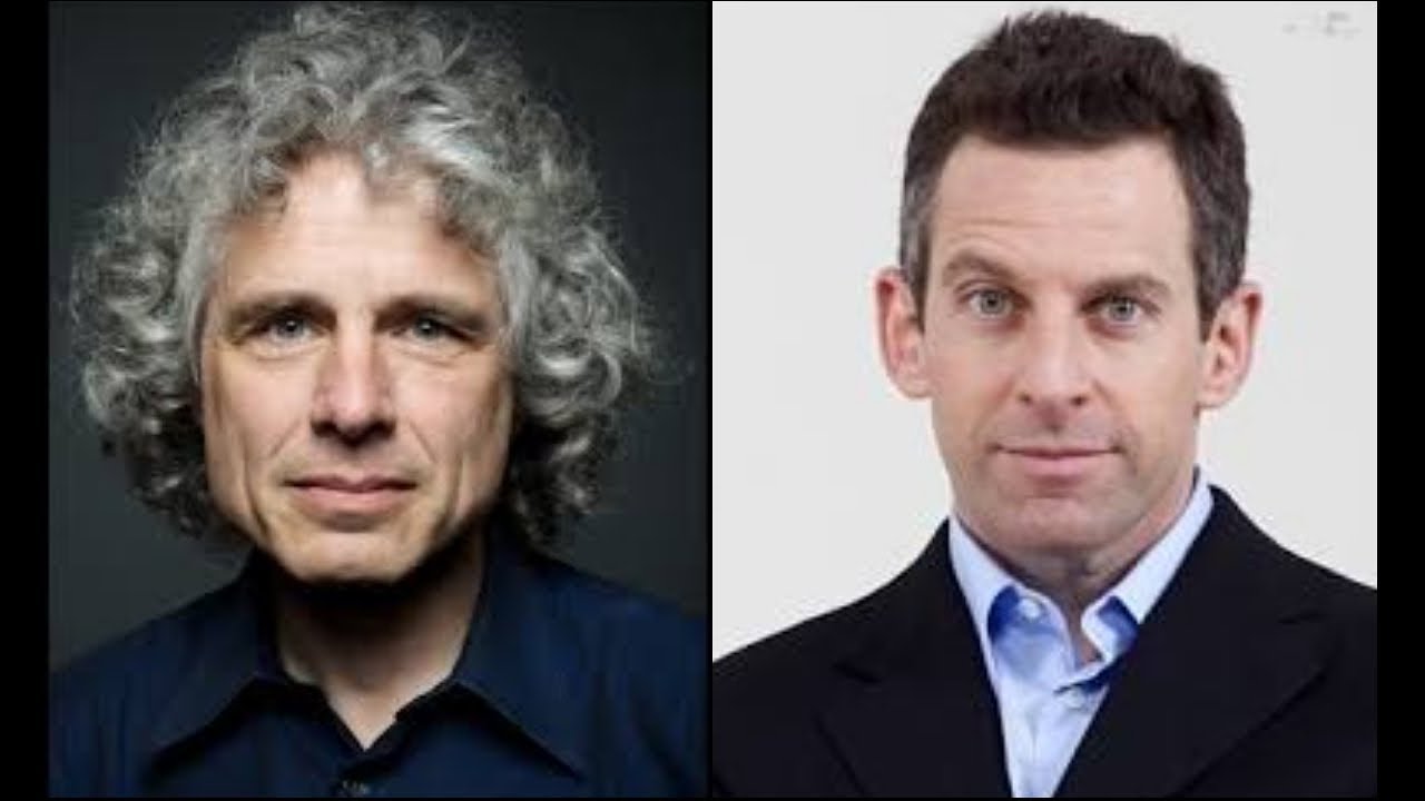 Steven Pinker Vs Sam Harris On Artificial Intelligence.