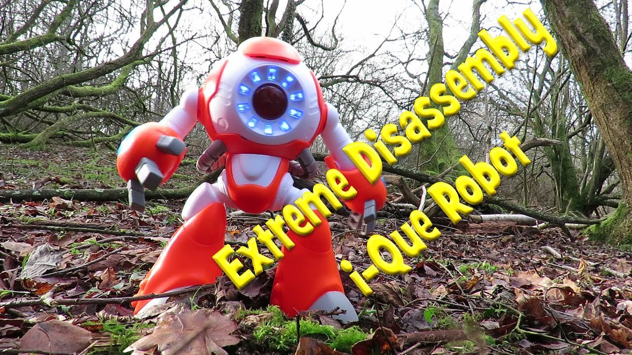 i-Que Intelligent Robot Extreme Disassembly