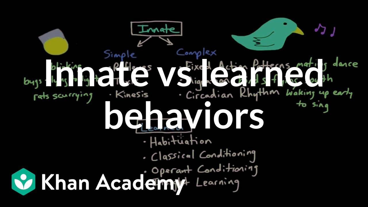 Operant conditioning: Innate vs learned behaviors | Behavior | MCAT | Khan Academy
