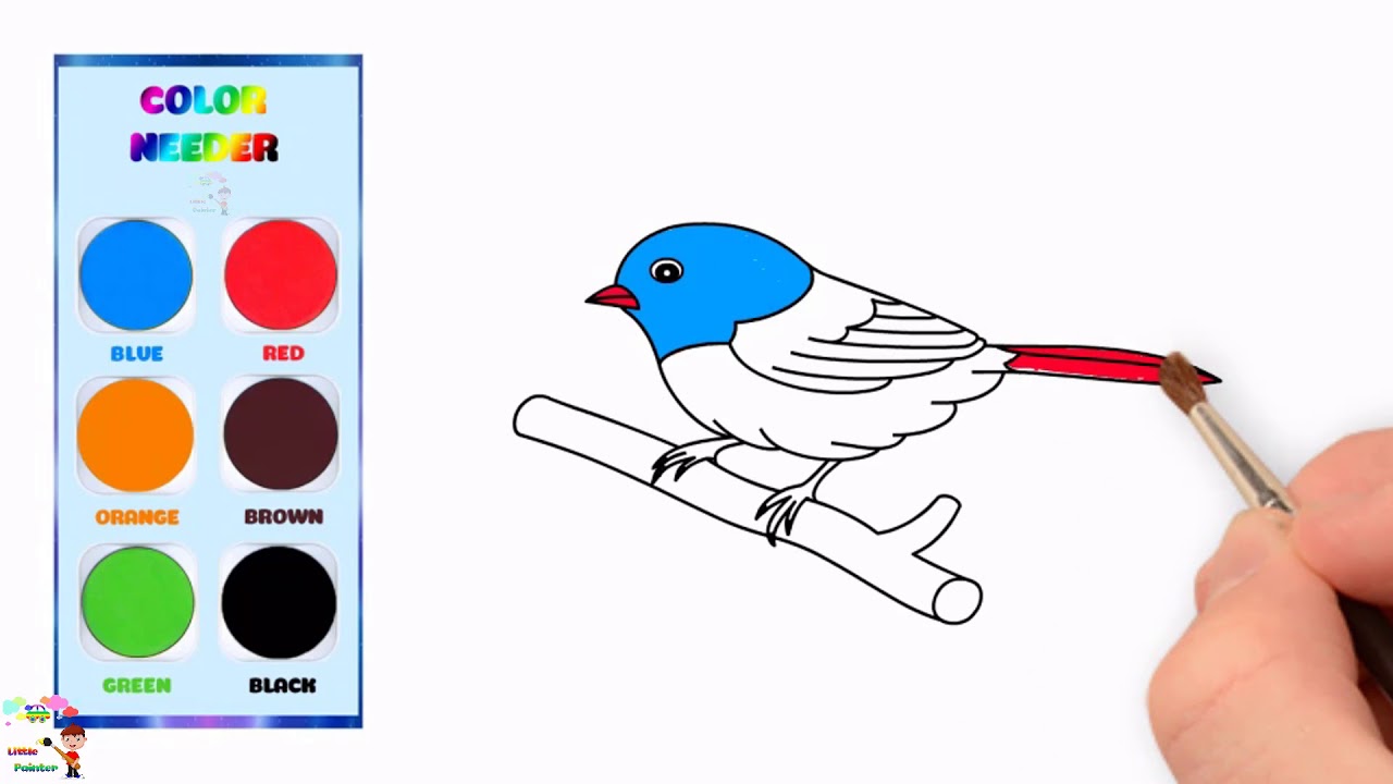 Little Painter : Draw a bird | Painting a bird | Learn draw & colors for children | Useful lesson |