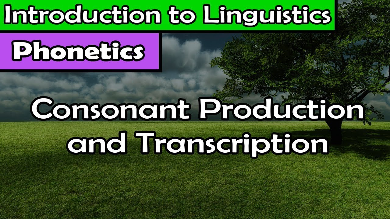 [Introduction to Linguistics] Consonants: Place of Articulation, Manner of Articulation, Voicing
