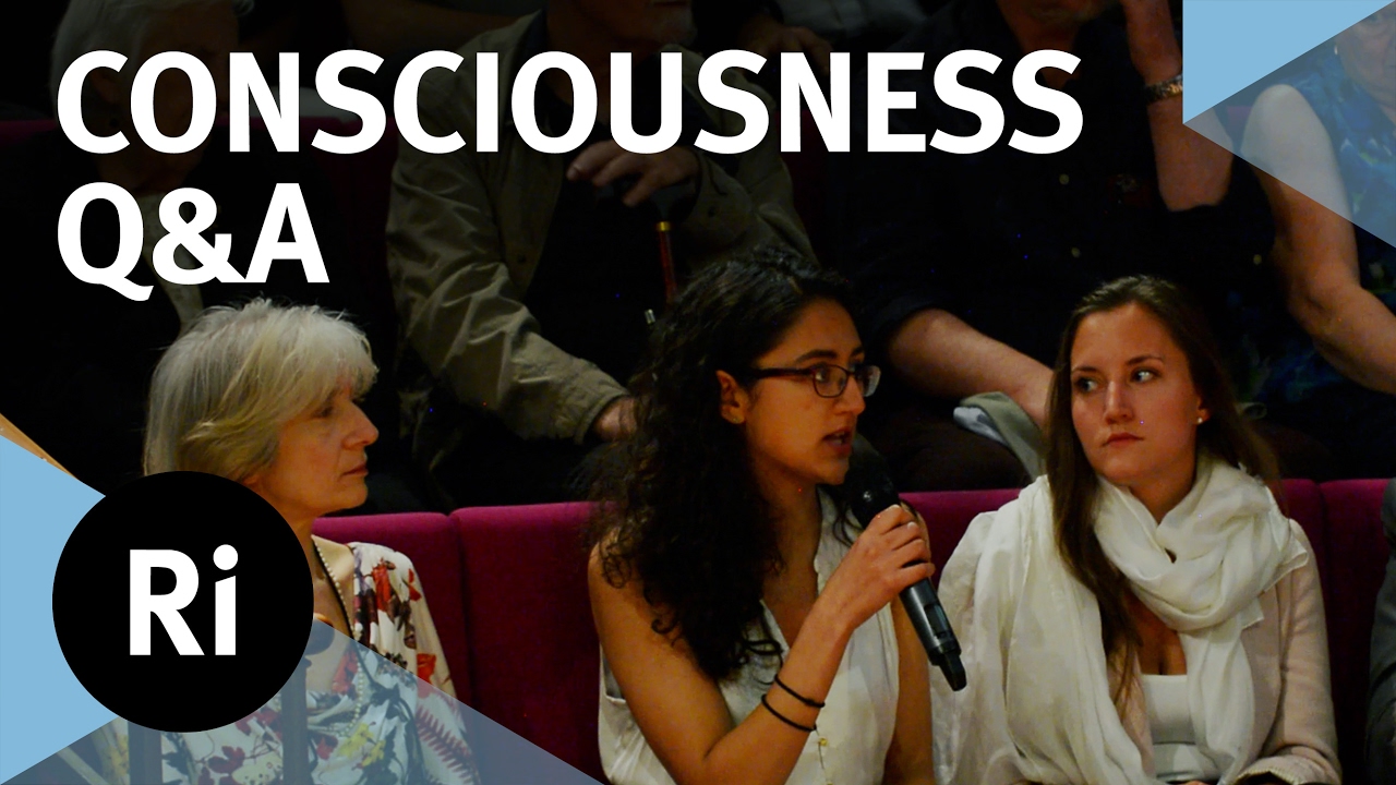 Q&A – The Neuroscience of Consciousness – with Anil Seth
