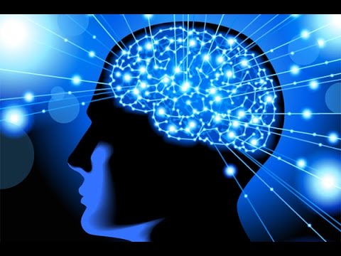 How to Rewire & Evolve Your Brain to Experience a New Reality – Dr. Joe Dispenza
