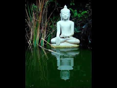 Meditacion Guiada 10 MINUTOS MINDFULNESS de SANACION para la MENTE