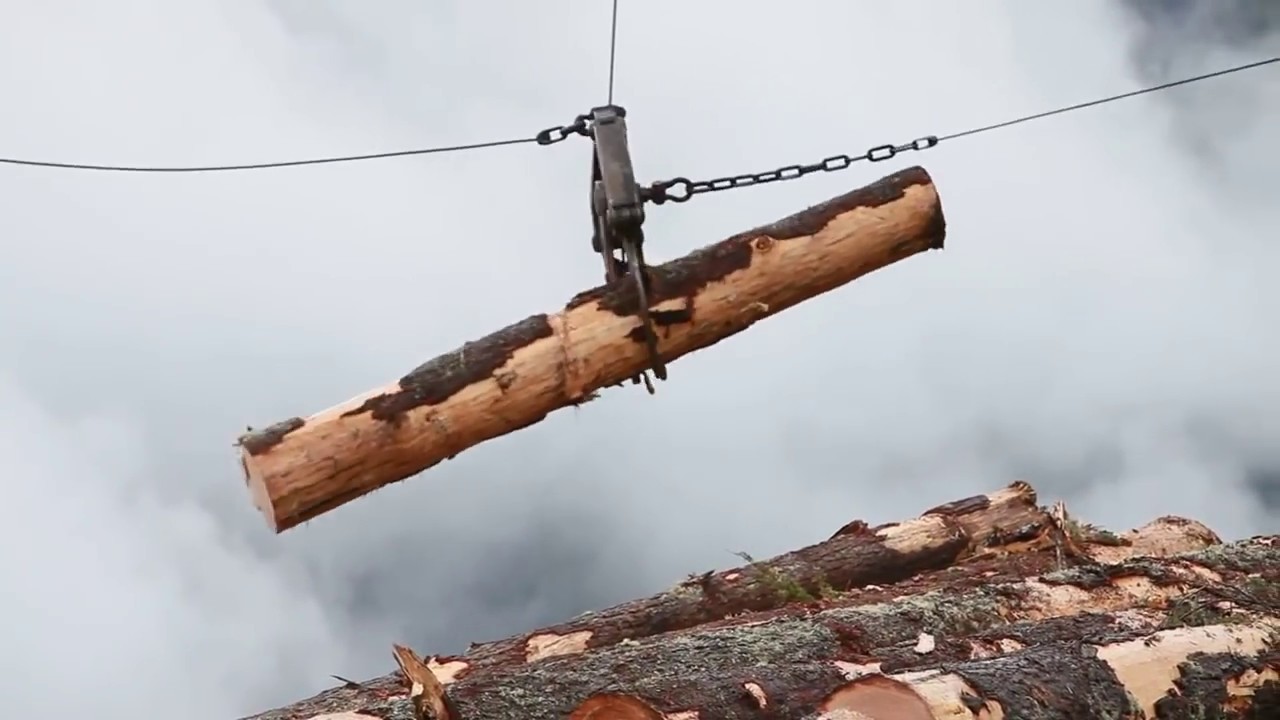 Intelligent Technology Timber Transportation Machines Woodwork ChainSaw Log Splitter CNC Sawmill