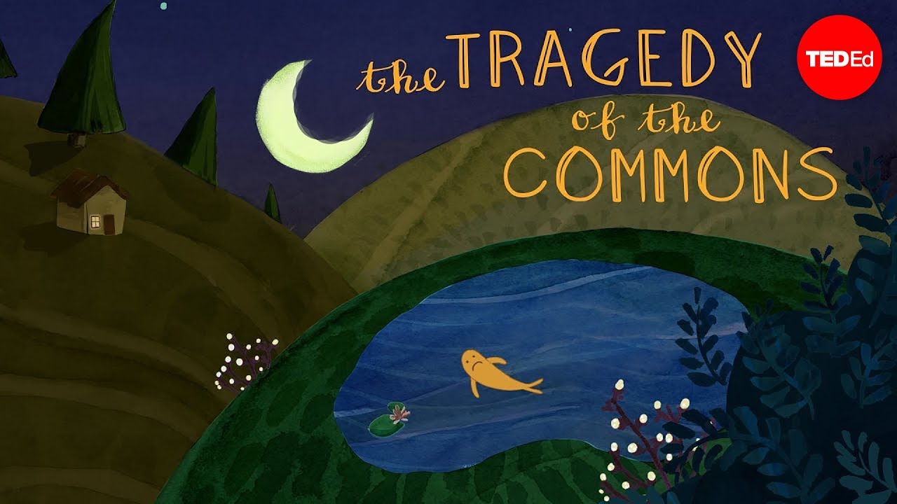 What is the tragedy of the commons? – Nicholas Amendolare
