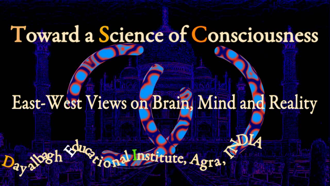 Toward a Science of Consciousness Conference 2013
