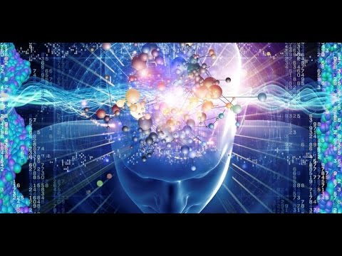Breaking: Quantum Physics and Our Brains?