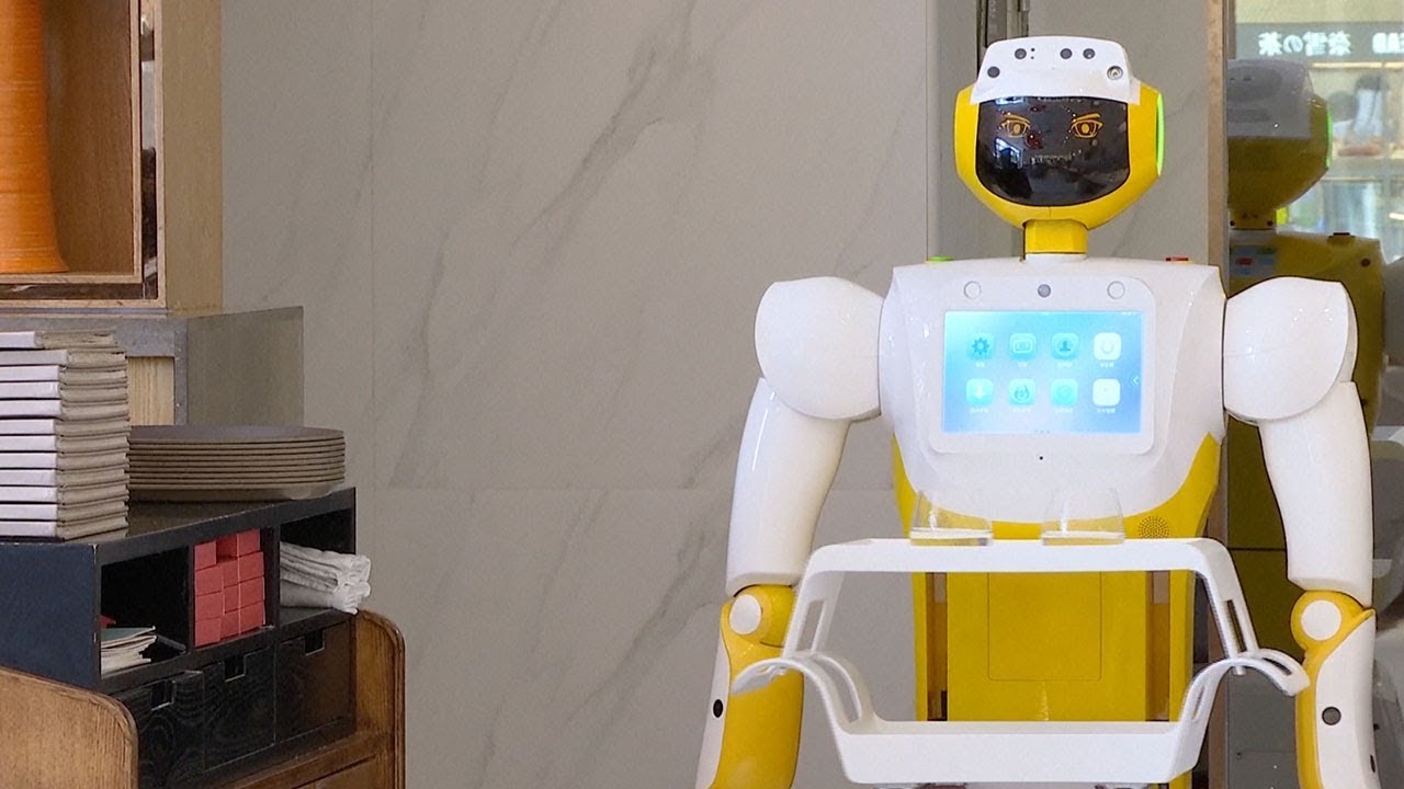Chinese businesses "employ" intelligent robots for better service