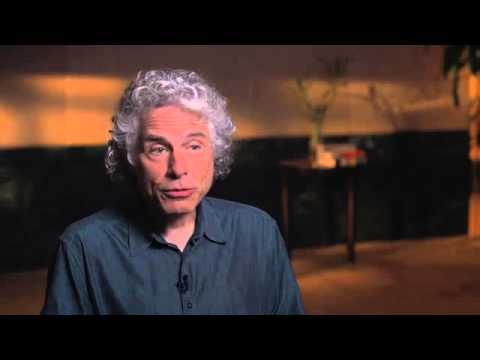 Bill Gates with Steven Pinker: Is Violence a Guy Thing?