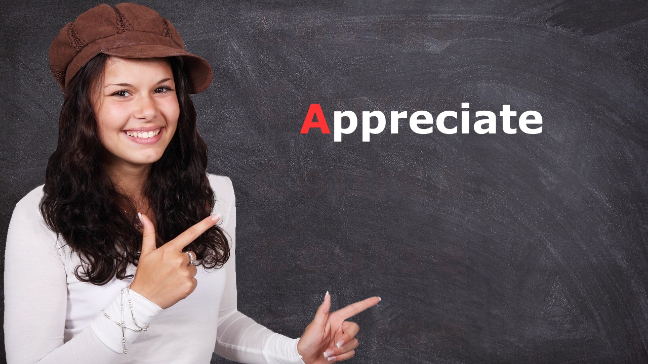 Meaning of Appreciate – Learn most common English words with examples