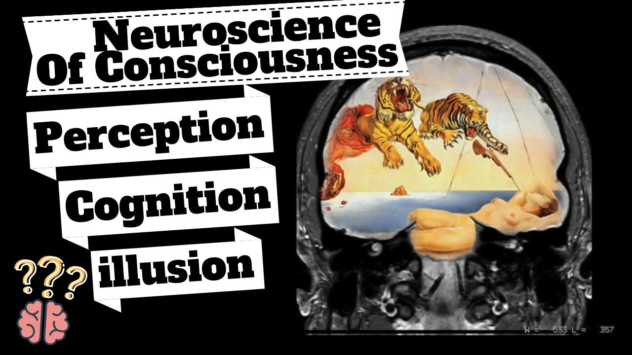 Consciousness: The Neuroscience of Perception, illusion & Cognition. How Your Brain Works: Anil Seth