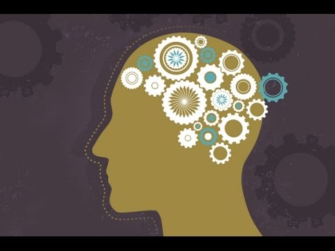 Consciousness: How the Brain Creates the Mind