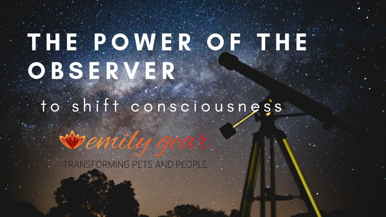 The Power of the Observer to Shift Consciousness