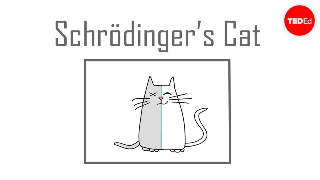 Schrödinger's cat: A thought experiment in quantum mechanics – Chad Orzel