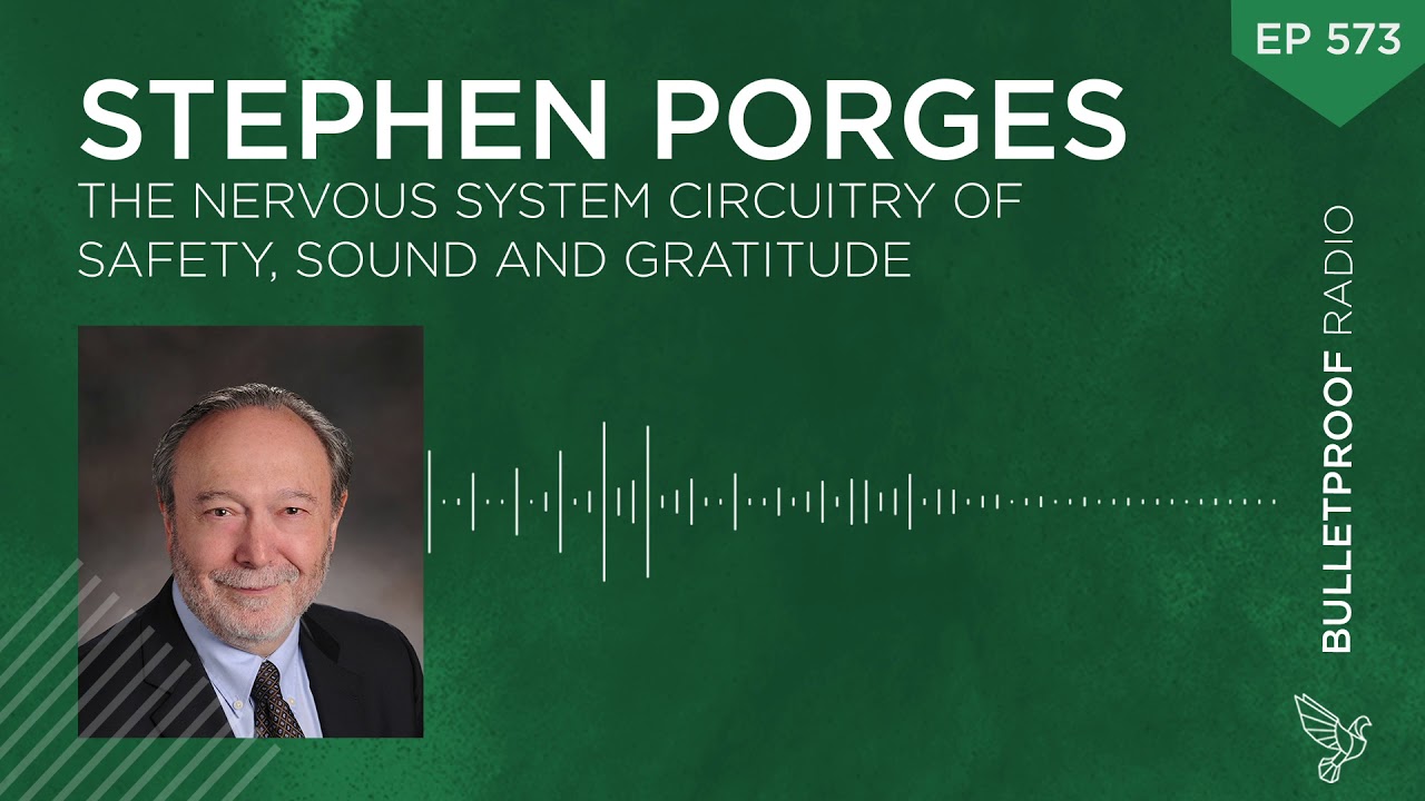 The Nervous System Circuitry of Safety, Sound and Gratitude – Stephen Porges
