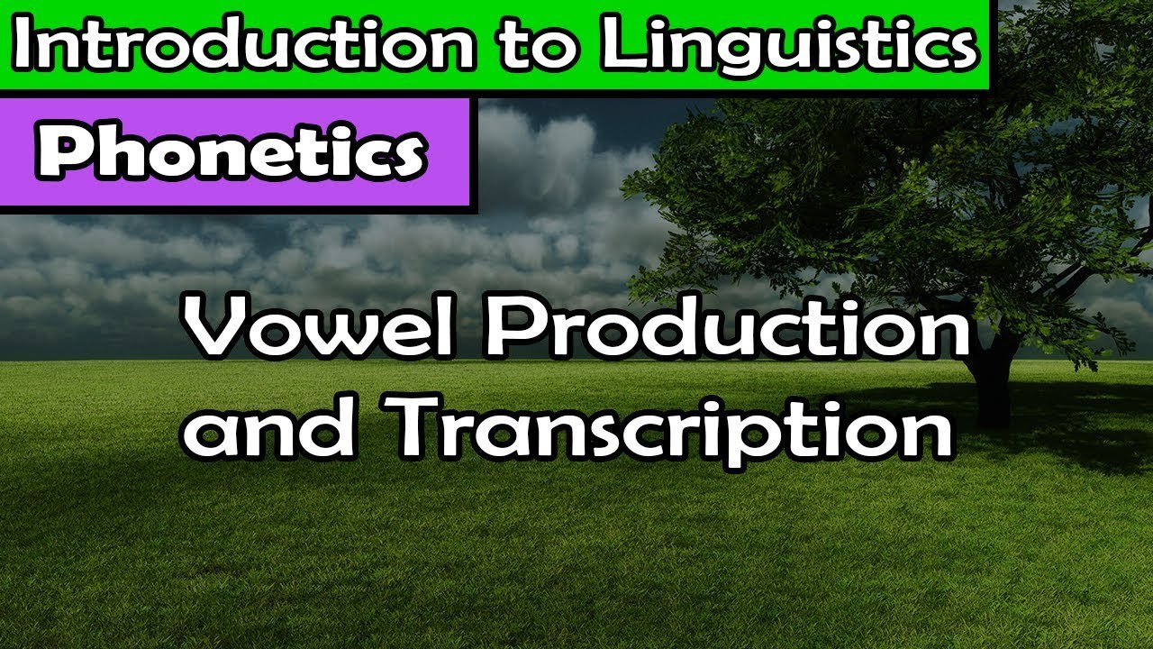 [Introduction to Linguistics] Vowels: Production and Transcription