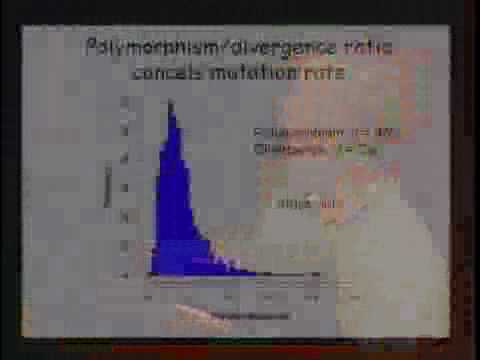 Population Genomics of Drosophila with Parallel Sequencing Methods – Andy Clark