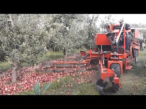 Intelligent Technology: Modern Apple Collection Machine – apple harvest