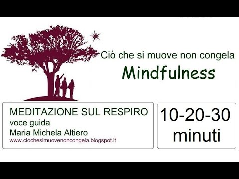 Mindfulness: pratica sul respiro (durata 10, 20 o 30 minuti a scelta)