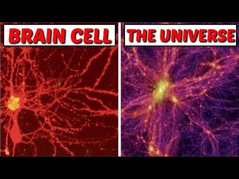 Multidimensional Universe Discovered In our Brains: As Above so Below