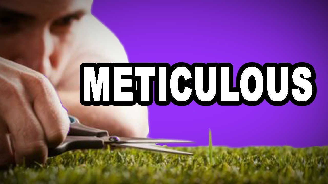 Learn English Words: METICULOUS – Meaning, Vocabulary with Pictures and Examples