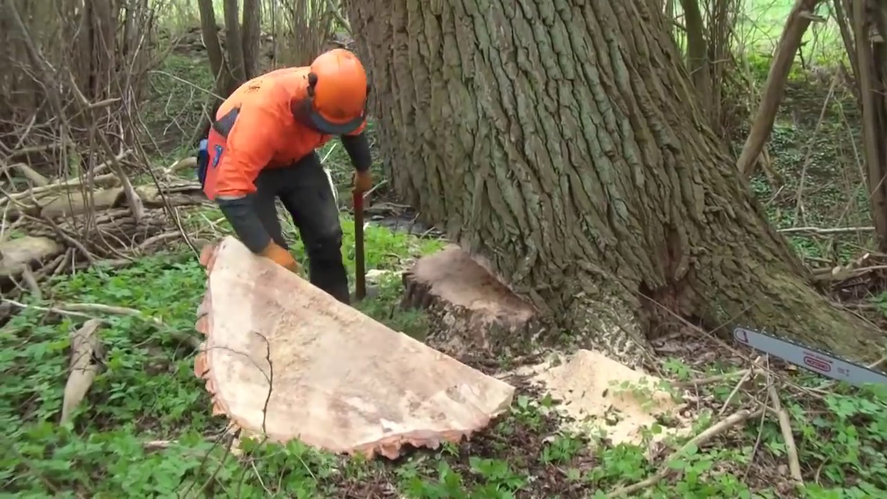Intelligent Technology Woodcutter Skills Turbo ChainSaw Woodwork Lumberjack Mega Machines Sawmill